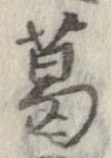 已定位葛