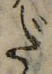 位置 確認된 だ