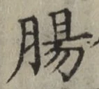 文字腸