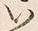 𡨸い