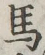 馬 위치 확인됨