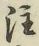文字注