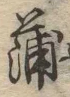 蒲の位置