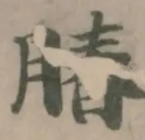 䐏の位置