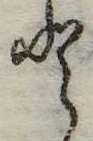 Đã định vị 𛁻