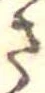 位置定マレルさ