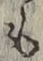 文字 も