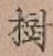 글자 樹