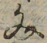 Located 文
