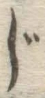 글자 じ