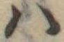 𛂞の位置
