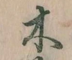 位置定マレル木