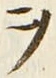 字ヲ