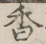 位置定マレル香