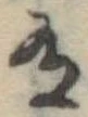 有 위치 확인됨