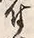 Character 付