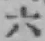 글자 六
