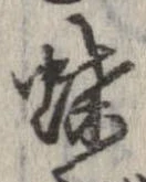 已定位蝶