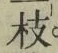 文字枝
