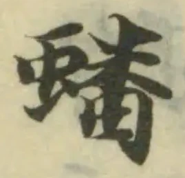 蟠の位置