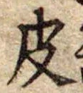 位置定マレル皮