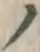 “ノ”字