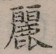 已定位麗