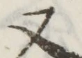 文字 又