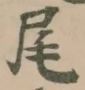 尾 위치 확인됨