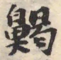 齃 위치 확인됨