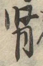 腎 위치 확인됨