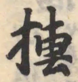 摶の位置