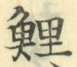 字鯉