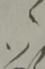 ゝ 위치 확인됨