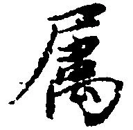 属の位置