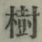 文字樹