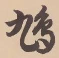 鳩 위치 확인됨
