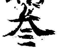 参の位置