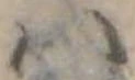 𛂞の位置