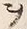 文字ヲ