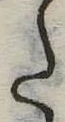 Đã định vị 𛁠