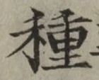 글자 種