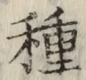 글자 種