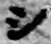 字シ