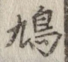 鳩 위치 확인됨