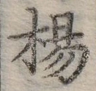 Đã định vị 楊