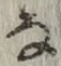 Character な