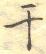 干 위치 확인됨