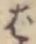 글자 ば