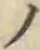 字ノ
